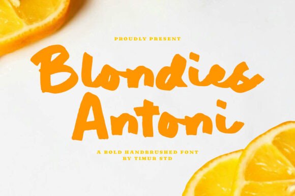 Blondies Antoni: Bold Hand-Brushed Display Font for Editorial Design