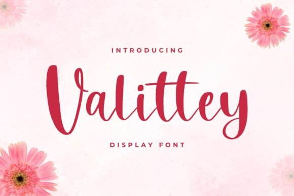 Valittey Display Font for Campaign Headlines and Brand Identity
